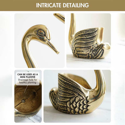 Beautiful Golden Shade Metal Swan Gift Set | Pack of 5