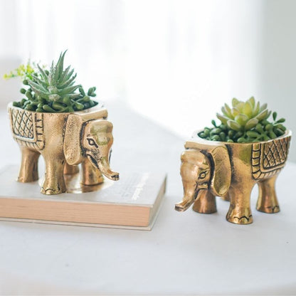 Elegant Golden Shade Metal Elephant Planter | Set of 2 | 3 x 6 inches