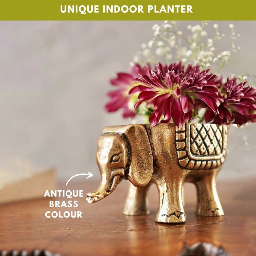 Elegant Golden Shade Metal Elephant Planter | Set of 2 | 3 x 6 inches