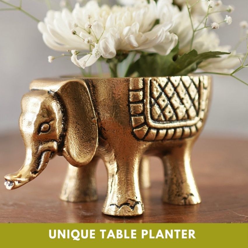 Beautiful Golden Design Elephant Planter | 3 x 6 inches