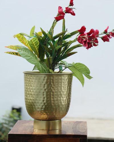 Gold Finish Planter Bucket