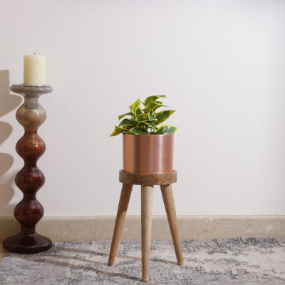 Copper Look On Three Leg Stool Metal Planter