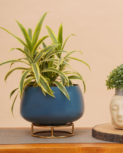 Teal Enamel Metal Planter with Gold Stand