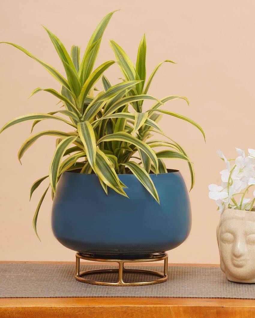 Teal Enamel Metal Planter with Gold Stand