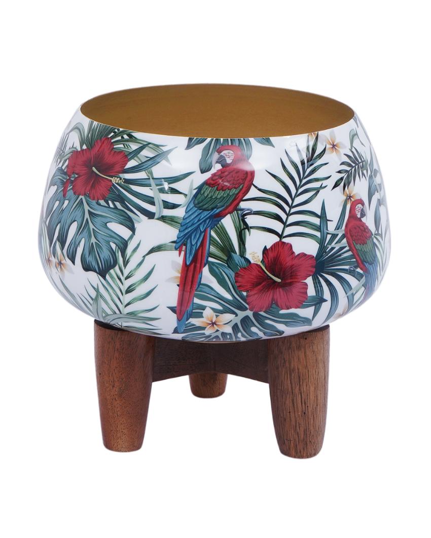 Tropical Macaw Metal Planter with Wooden Stand