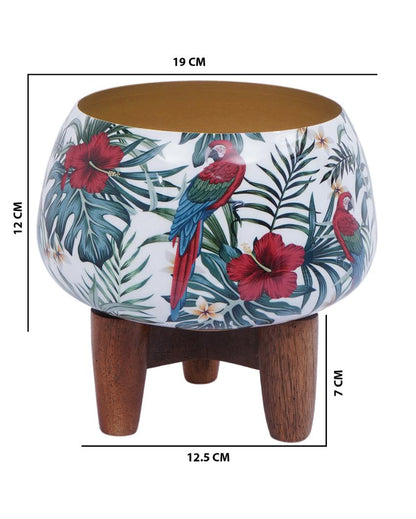 Tropical Macaw Metal Planter with Wooden Stand