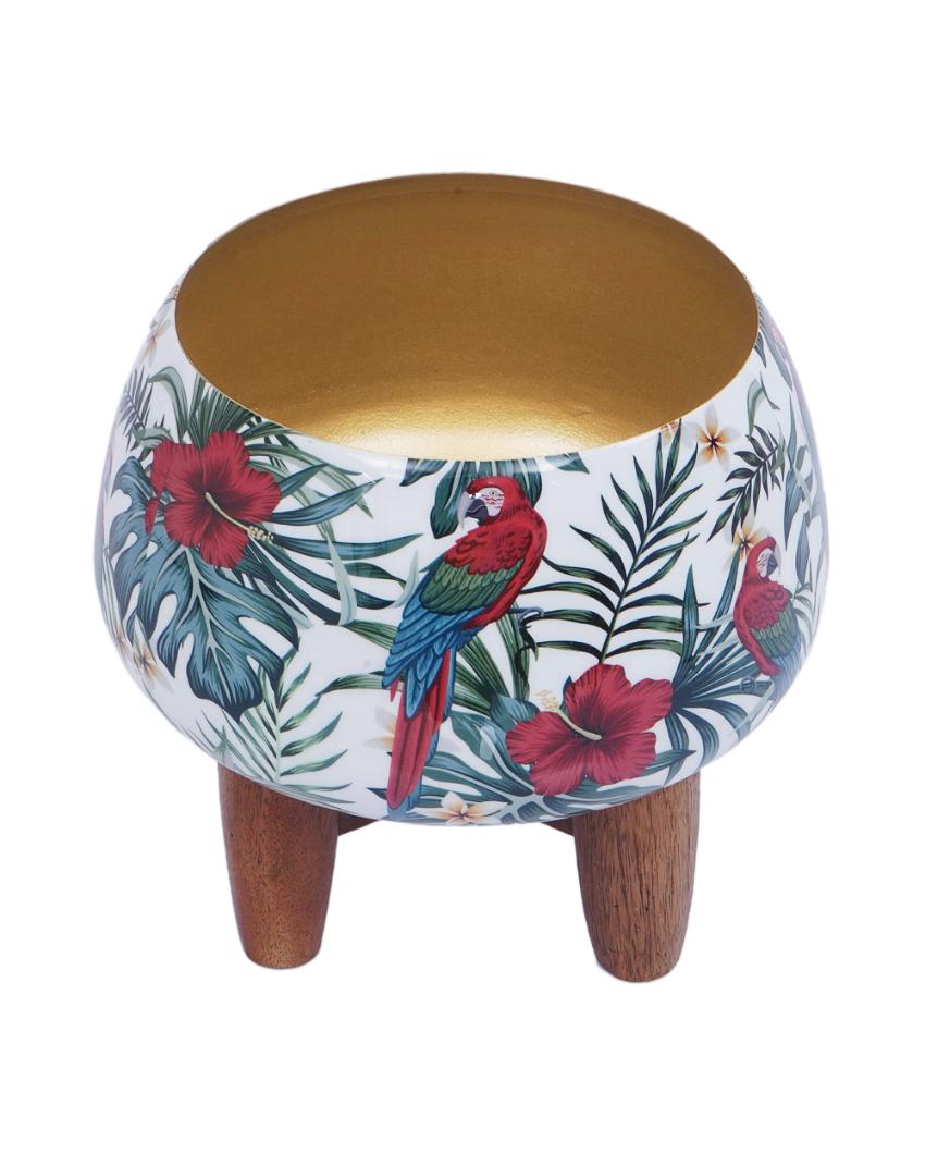 Tropical Macaw Metal Planter with Wooden Stand