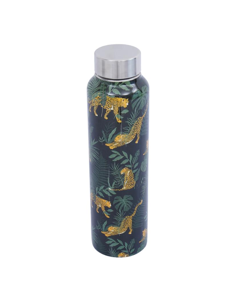 Wild Jungle Print Stainless Steel Water Bottle | 3 x 10 inches