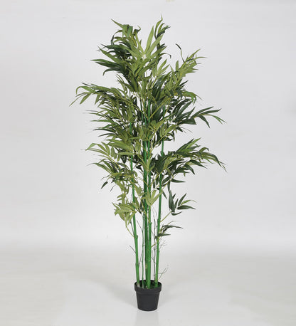 Artificial Real Touch Bamboo Plant with Black Pot