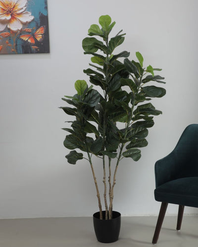 Artificial Fiddle Leaf Fig Plant with Pot For Home Decor | 6 Feet