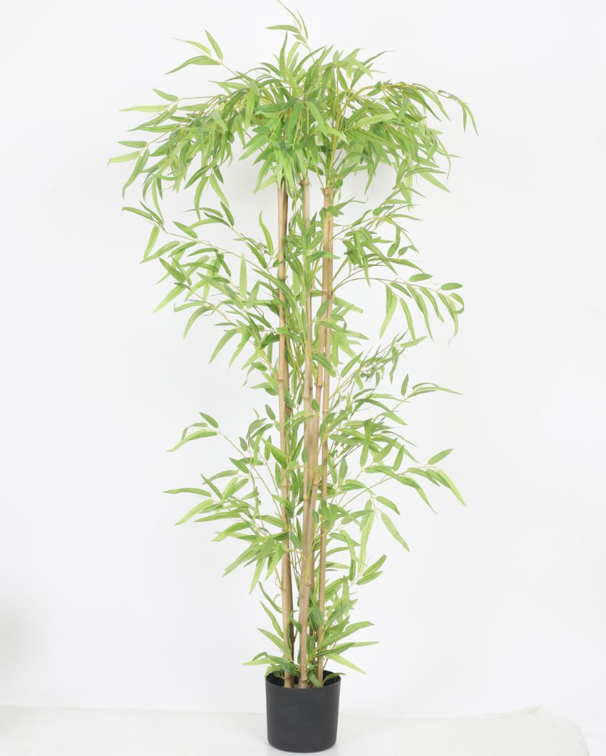 Artificial Bamboo Plant with Pot For Indoor & Outdoor | 5.5 Feet
