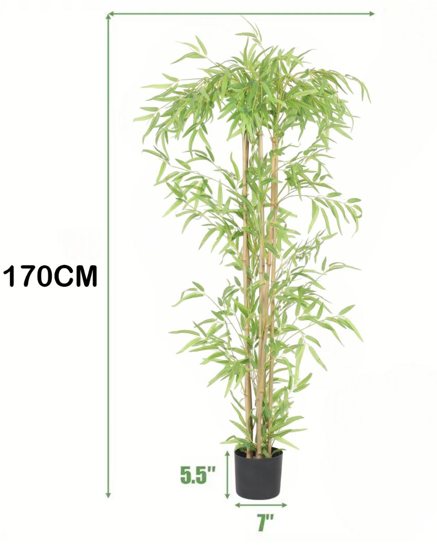 Artificial Bamboo Plant with Pot For Indoor & Outdoor | 5.5 Feet