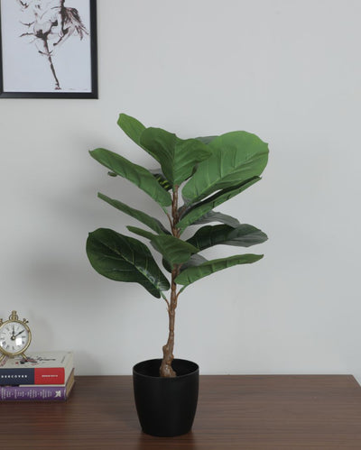 Charming Artificial Fiddle Leaf Fig Plant with Basic Black Pot | 2.3 Feet