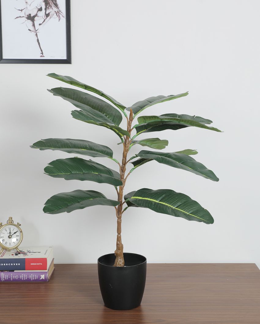 Fancy Artificial Rubber Plant with Basic Black Pot | 2.3 Feet