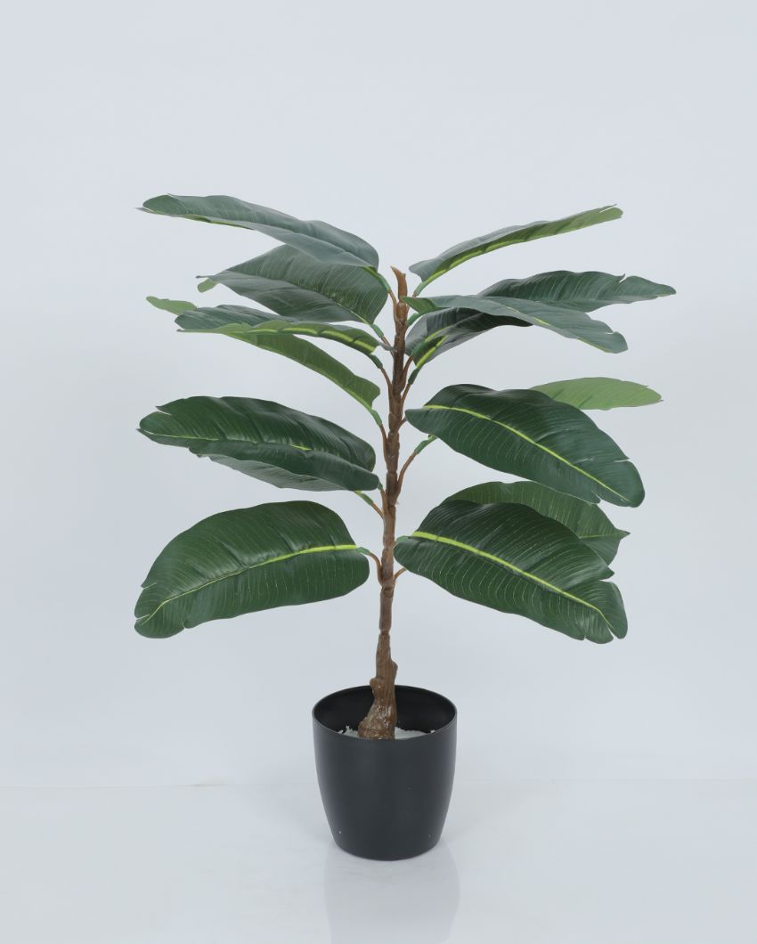 Fancy Artificial Rubber Plant with Basic Black Pot | 2.3 Feet