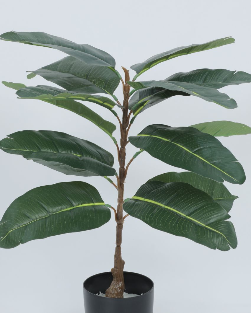 Fancy Artificial Rubber Plant with Basic Black Pot | 2.3 Feet