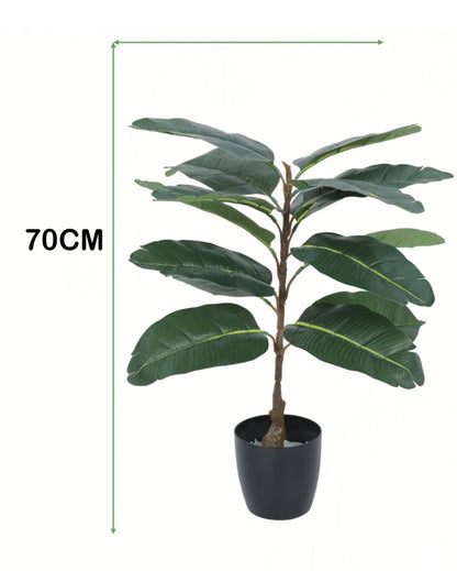 Fancy Artificial Rubber Plant with Basic Black Pot | 2.3 Feet