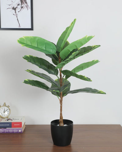 Artificial Banana Yellow Shaded  Leaf Plant with Basic Black Pot | 15 Leaves | 2.3 Feet