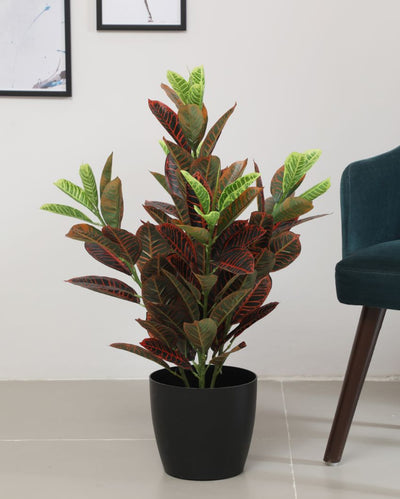 Sophisticated Artificial Croton Plant with Basic Black Pot | 2.7 Feet