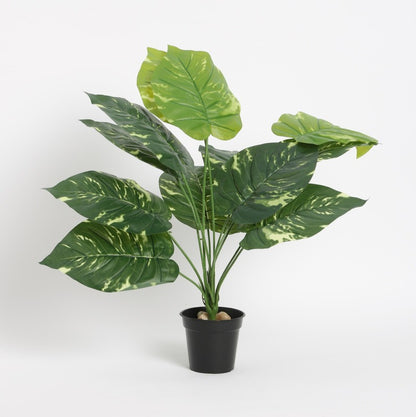 Alocasia Odora Artificial Big Leaves Plant for Indoor Decor Default Title