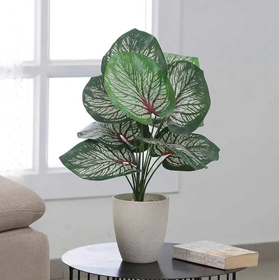 Elegance Stairs Decor Money Plants Red