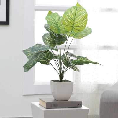 Beautiful Tarbooj Big Leaves Plant for Stairs Decor Default Title