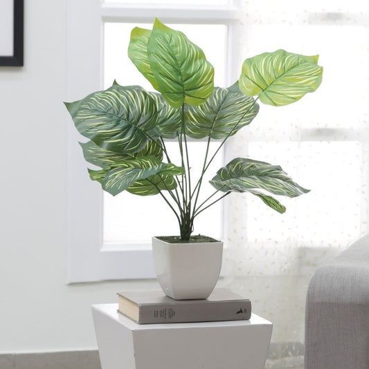 Artificial Taro Plant for Office & Home Greenery Default Title