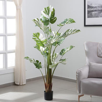 Artificial Green Real Touch Monstere Plant With Pot | 64 Inch Default Title