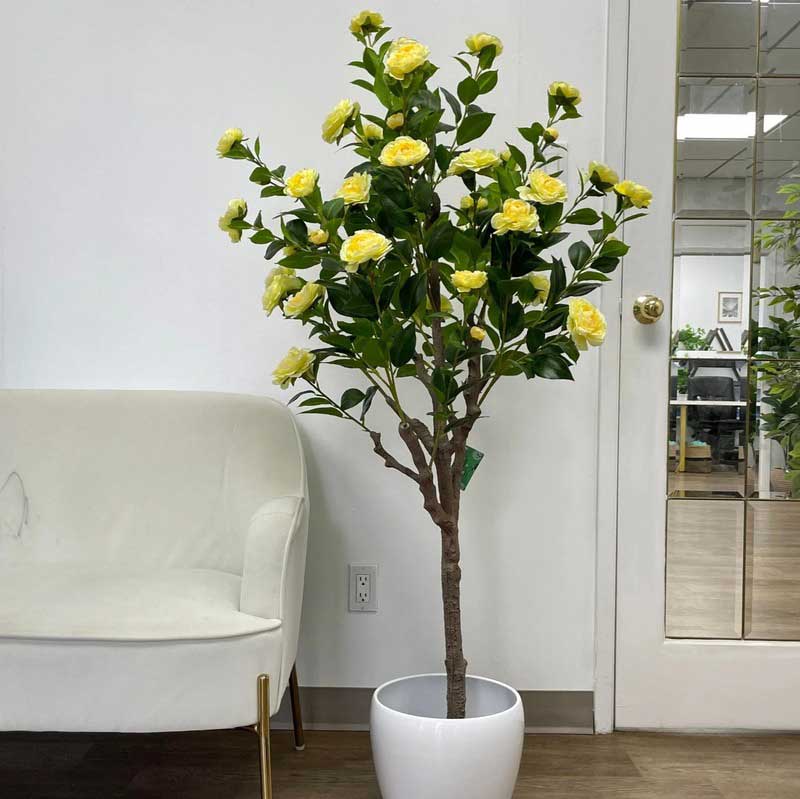 Fancy Roses Blooms Plant With Pot For Decor Yellow
