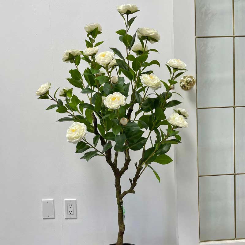 Fancy Roses Blooms Plant With Pot For Decor White