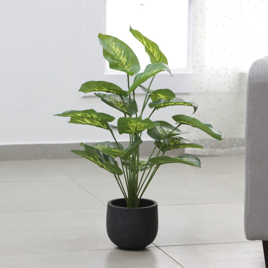 Monstera Deliciosa Artifical Plant For Indoor Decor | 60 Cm Default Title