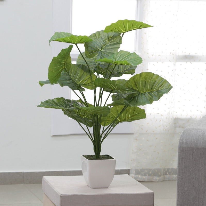 Beautiful Artificial Miniature PVC Plant Without Pot | 60 Cm Default Title