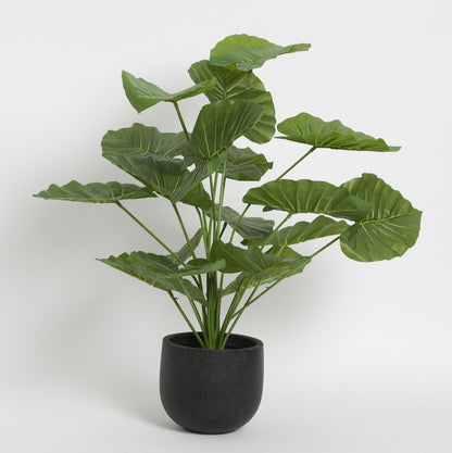 Beautiful Artificial Miniature PVC Plant Without Pot | 60 Cm Default Title