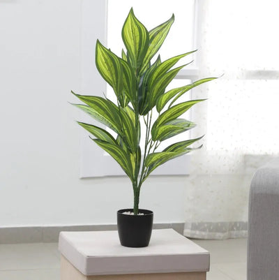 Artificial Iceton Dracaena Plant Without Pot Default Title