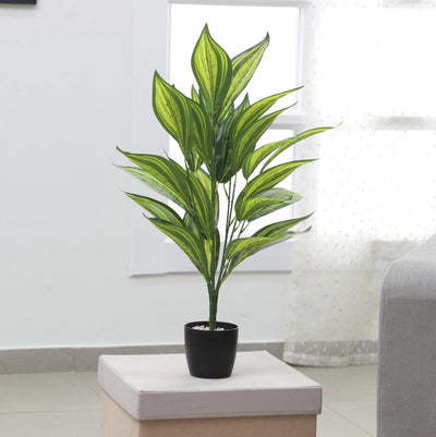 Artificial Iceton Dracaena Plant With Pot | 26 Leaves Default Title