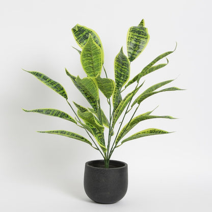 Artificial Iceton Snake Plant | 26 Leaves without Pot Default Title