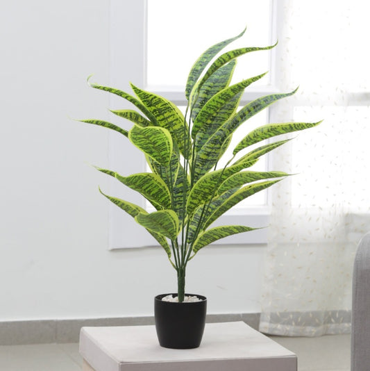 Artificial Iceton Snake Plant With Pot | 26 Leaves Default Title