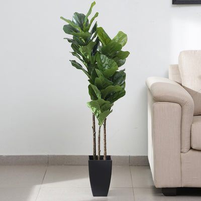 Ornate Artificial Fig Plants with Black Pot 54 Inches