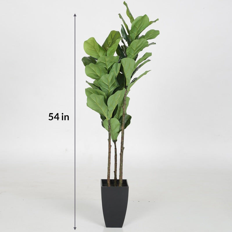 Ornate Artificial Fig Plants with Black Pot 54 Inches
