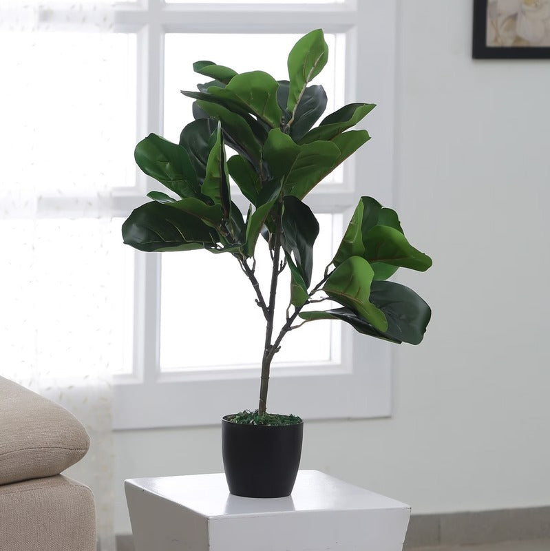 Ornate Artificial Fig Plants with Black Pot 26 Inches