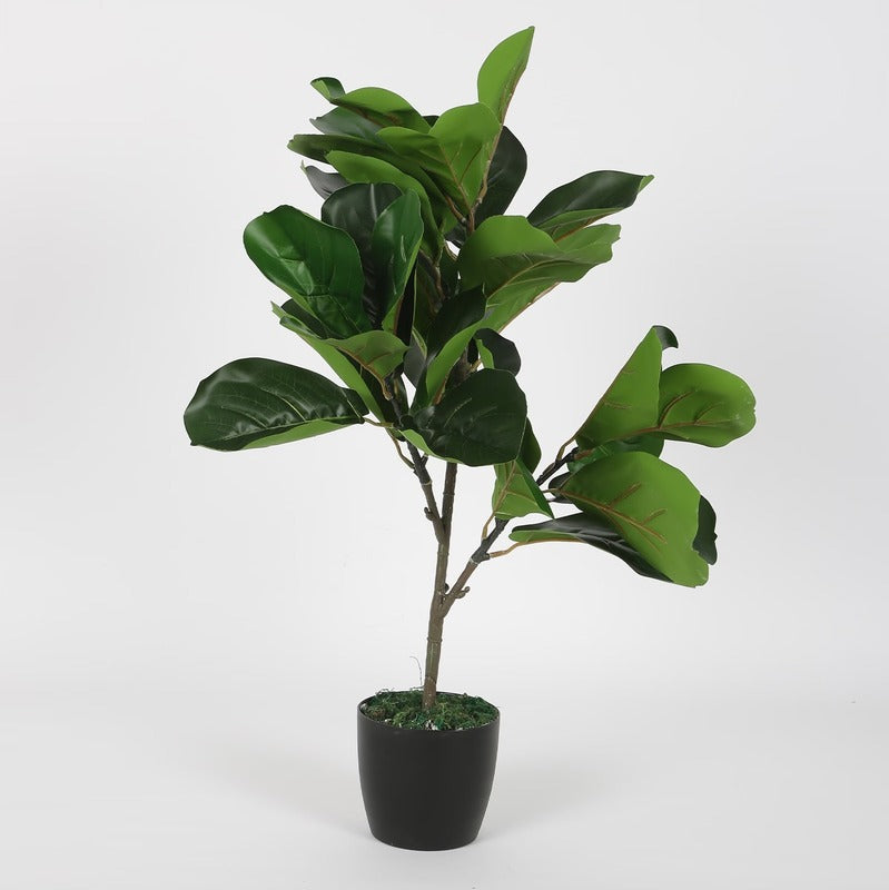 Ornate Artificial Fig Plants with Black Pot 26 Inches