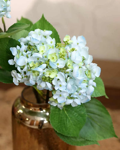 Fino Hydrangea Artificial Flower | Vase Not Included