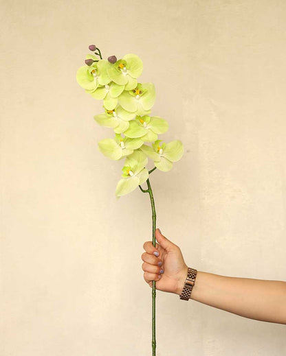 Orchid Silicone Artificial Flower | Vase Not Included