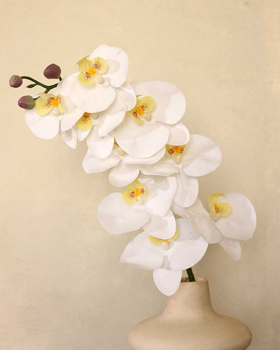 White Orchid Silicone Artificial Flower | 3 feet| Vase Not Included