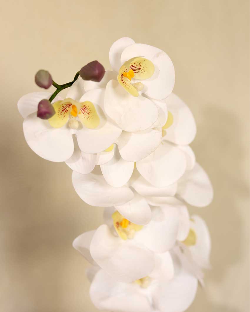 White Orchid Silicone Artificial Flower | 3 feet| Vase Not Included