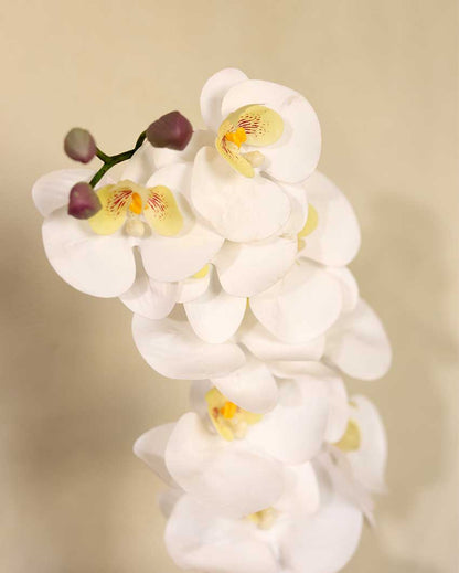 White Orchid Silicone Artificial Flower | Vase Not Included