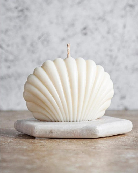Shell Candles | Set Of 2 White