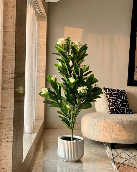 White Frangipani Plastci Tree | 5 Feet
