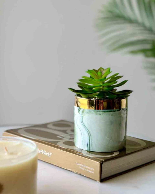 Artificial Crasulla Succulent With Ceramic Pot