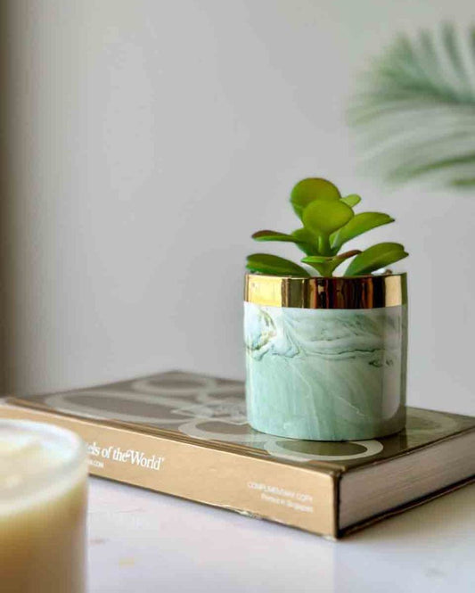 Artificial Jade Succulent With Ceramic Pot